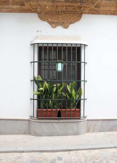 Fancy Apartment In A Historic House, Chiclana City Center By C. Dreams Chiclana de la Frontera Eksteriør bilde